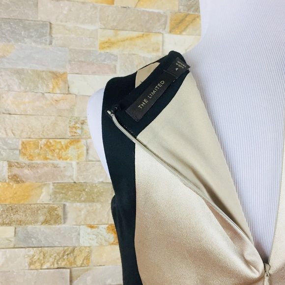 THE LIMITED Colorblock Metallic Sleeveless Sheath Dress 4 Small Career Work - Picture 5 of 5